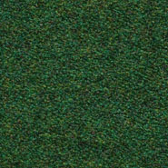 Flora 2_857  Kvadrat